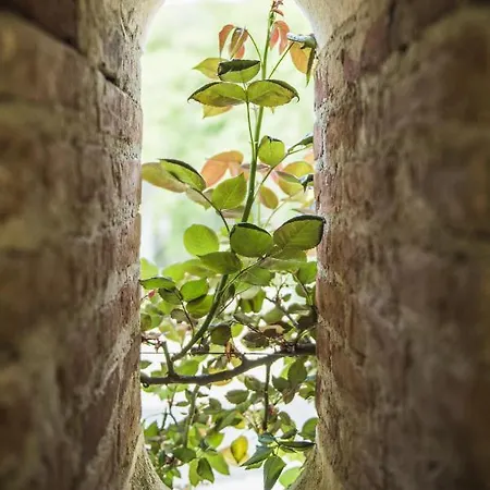 Appartement Chapel *