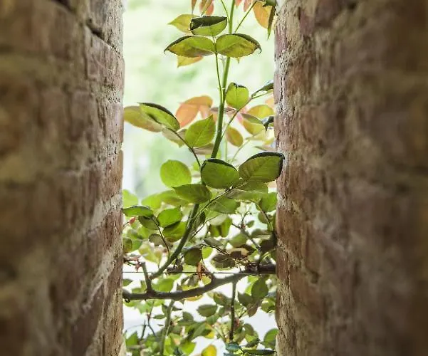 Appartement Chapel *