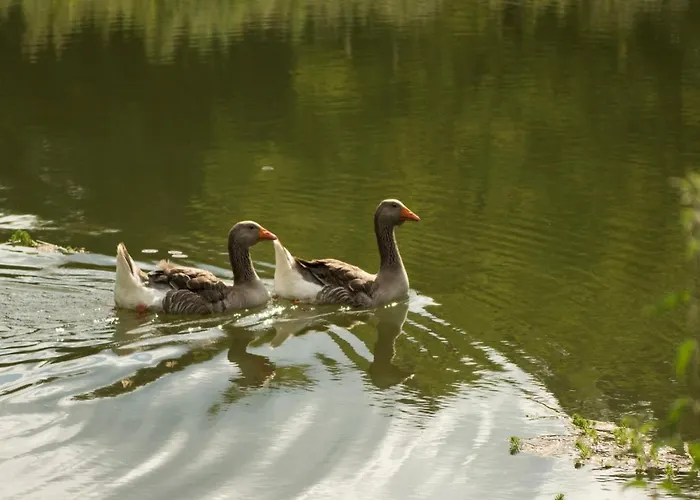 Appartement Chapel La Bachellerie